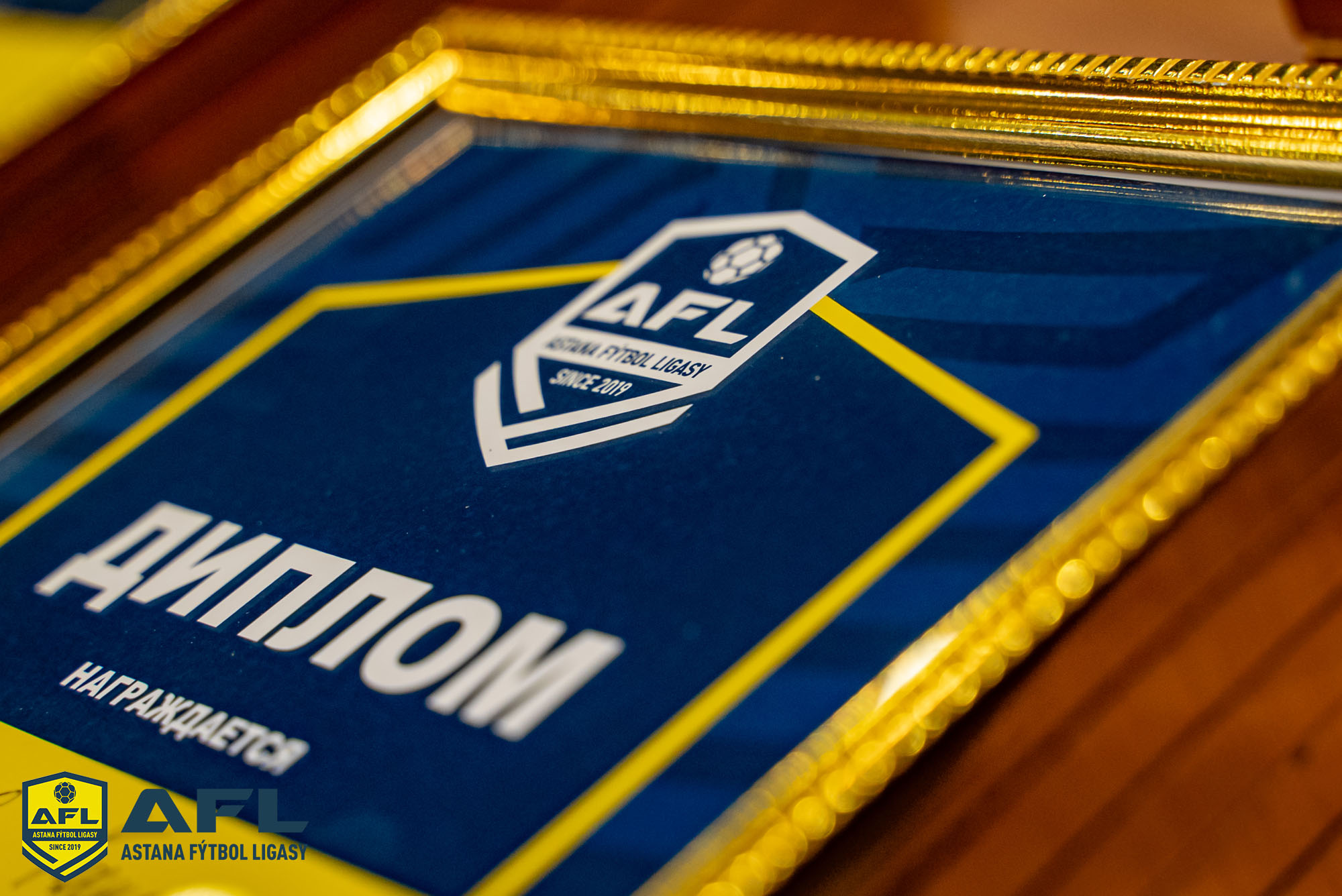 DSC07003